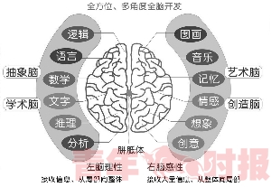 全脑课程