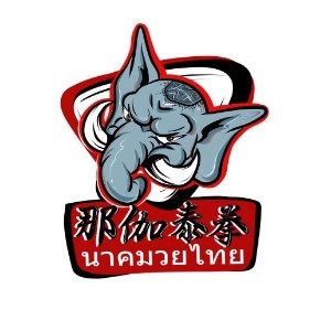 惠州那伽泰拳培训logo