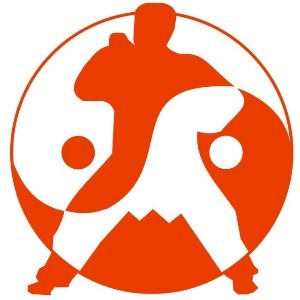 佛山博龙武术培训logo