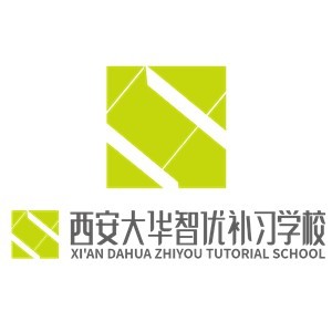 西安大华智优升学规划logo