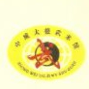惠州中威太极武术馆logo