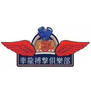 东莞拳龙搏击培训logo