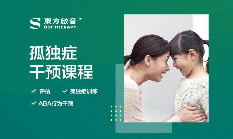 上海东方启音·自闭症（孤独症）干预课程