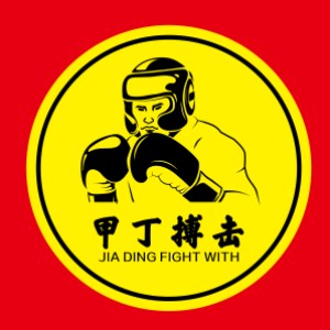 济南甲丁搏击俱乐部logo