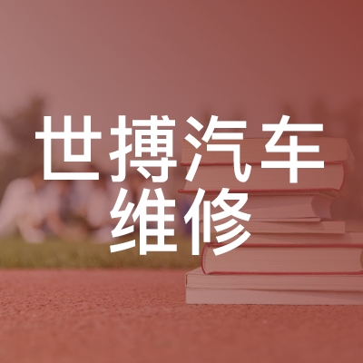 宿州世搏汽车维修职业培训学校logo