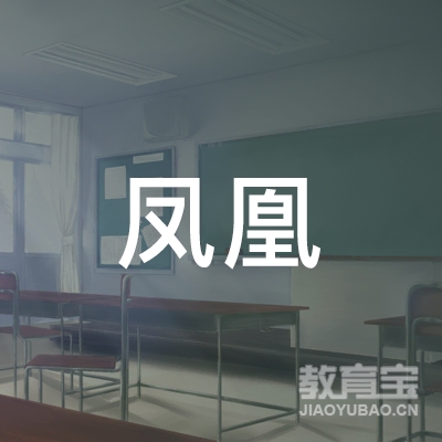 揭西县凤凰职业培训学校logo