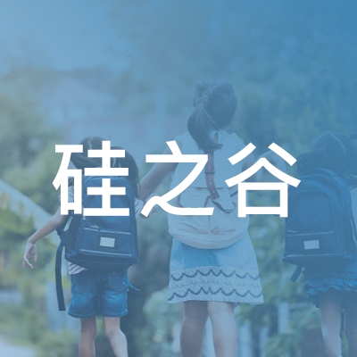 潍坊硅之谷职业技能培训学校有限公司logo
