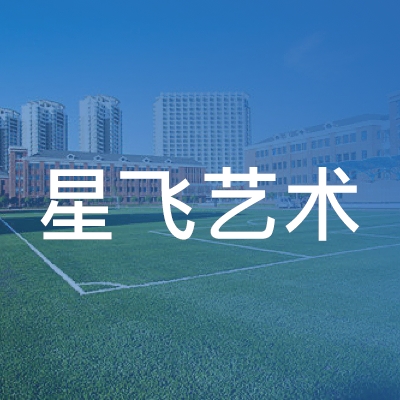赣州市赣县区星飞艺术培训中心有限公司logo