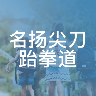 清水县名扬尖刀跆拳道培训学校logo