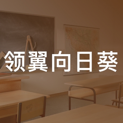 长沙县领翼向日葵教育培训学校