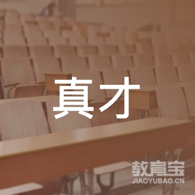 长沙市真才教育培训中心logo