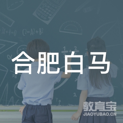 合肥白马电子商务职业培训学校logo