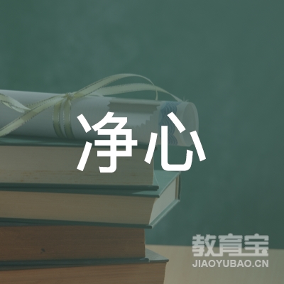 广州净心美术教育咨询有限公司logo