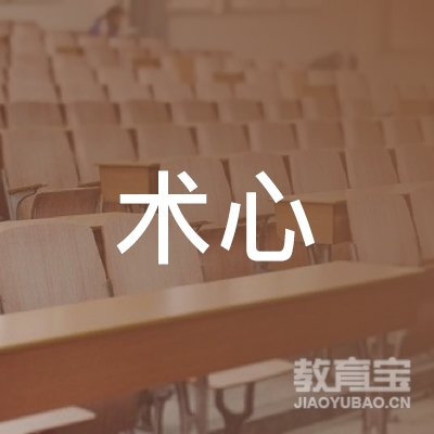 广州术心文化艺术有限公司logo