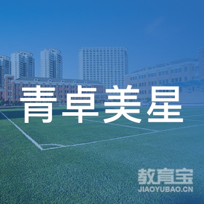陕西青卓美星文化传媒有限公司logo