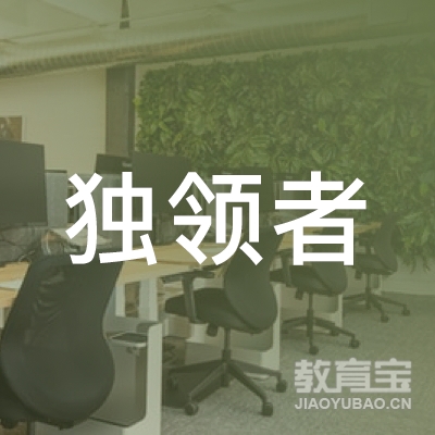昆明高新技术产业开发区独领者文化艺术工作室logo
