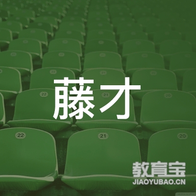 藤才（北京）信息咨询有限公司logo