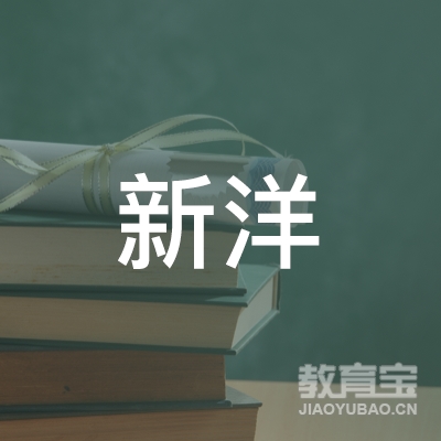 新洋教育咨询（深圳）有限公司logo