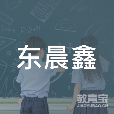 南京东晨鑫教育信息咨询有限公司logo