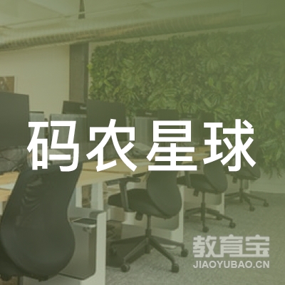 北京码农星球软件有限公司