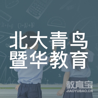 广州青鸟信息技术咨询服务有限公司logo
