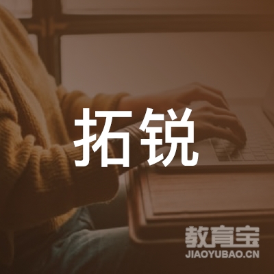 上海拓锐信息科技发展有限公司logo
