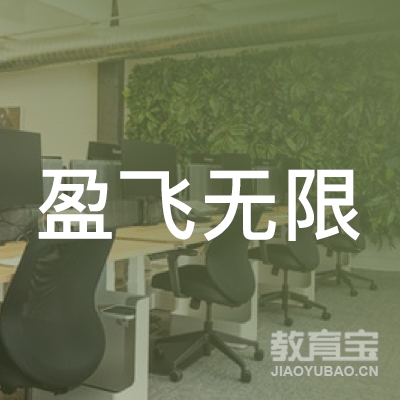 盈飞无限管理软件（北京）有限公司logo