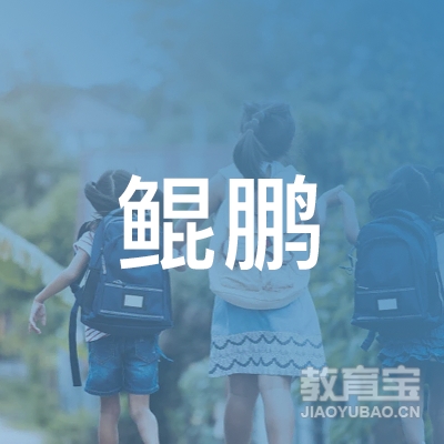 温州鲲鹏项目管理有限公司logo