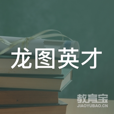 湖南龙图英才教育科技有限公司logo