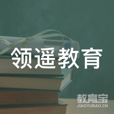 四川领遥教育咨询有限公司logo