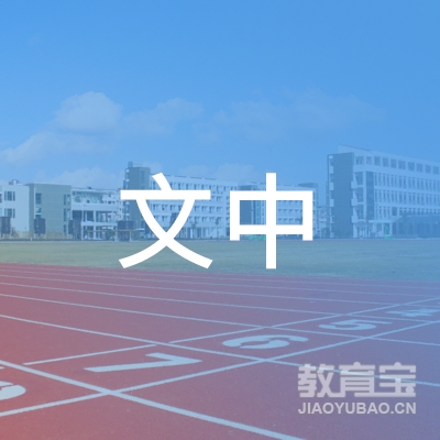重庆文中教育信息咨询服务有限公司logo