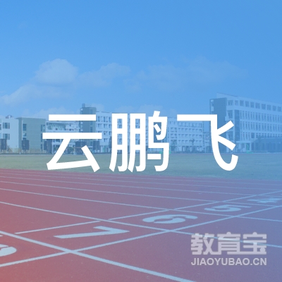 乌鲁木齐云鹏飞驾校（有限公司）logo