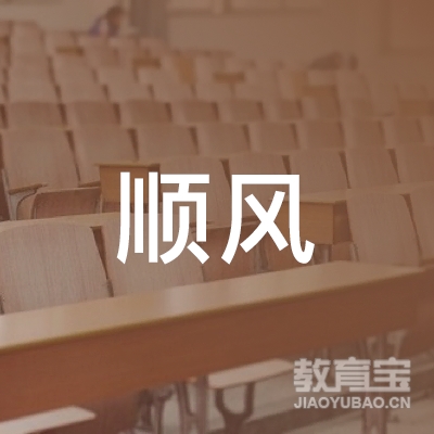 南宁市武鸣区顺风机动车驾驶员服务有限公司logo