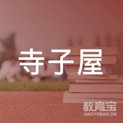 深圳寺子屋教育咨询有限公司logo