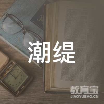 东莞市潮缇信息科技有限公司logo