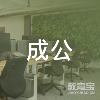 北京成公教育咨询有限责任公司logo