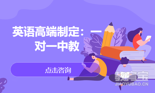 英语高端制定：一对一中教