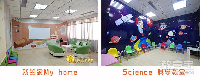 【合肥长颈鹿美语】- 合肥教育宝