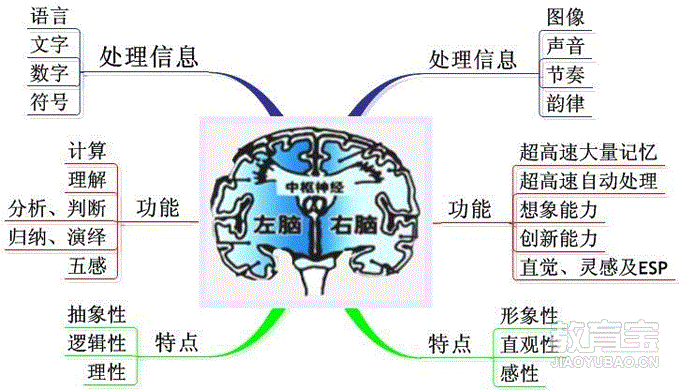 【济南志应培训学校-右脑记忆】- 济南教育宝