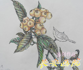 线描装饰画植物,花卉,动物 高清图片