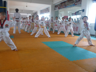 【沈阳正勇跆拳道培训学校】- 沈阳教育宝