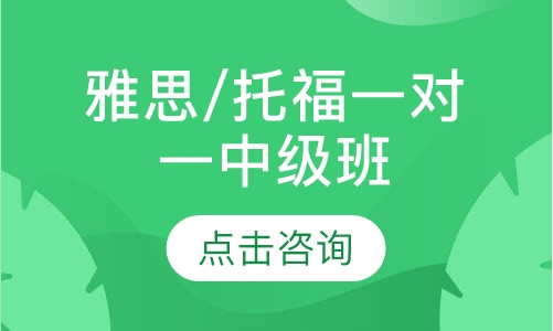 雅思/托福一对一中级班