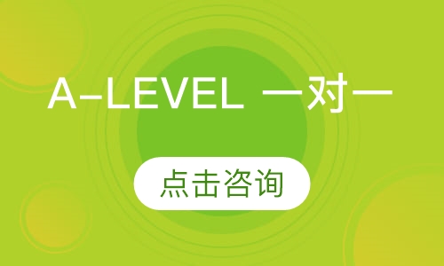 A-Level 一对一