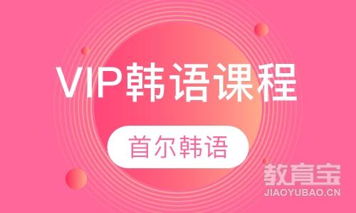 VIP韩语课程