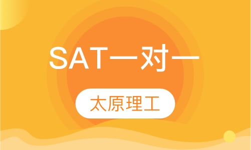 SAT一对一