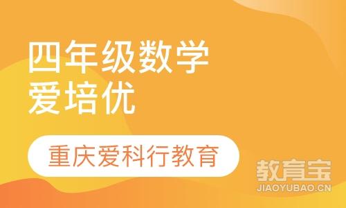 重庆巴南区小学辅导培训课程排行