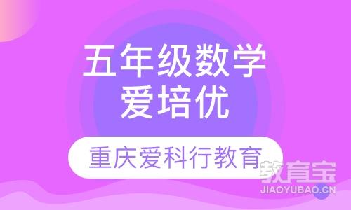 重庆巴南区小学辅导培训课程排行
