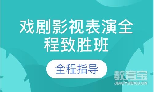 戏剧影视表演全程致胜班