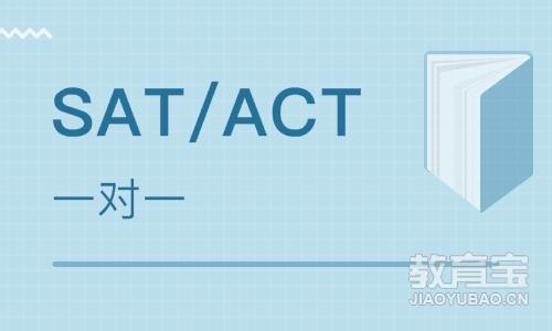 SAT/ACT一对一