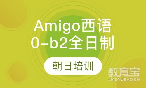 Amigo西语0-b2全日制精品